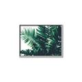 Picture of Fern Garden  _GroupedProduct_Rectangle_Landscape_Photography _GroupedProduct_Rectangle_Landscape_Canvas_Framed_
