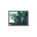 Picture of Fern Garden  _GroupedProduct_Rectangle_Landscape_Photography _GroupedProduct_Rectangle_Landscape_Canvas_Framed_