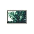 Picture of Fern Garden  _GroupedProduct_Rectangle_Landscape_Photography _GroupedProduct_Rectangle_Landscape_Canvas_Framed_