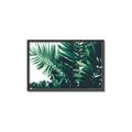 Picture of Fern Garden  _GroupedProduct_Rectangle_Landscape_Photography _GroupedProduct_Rectangle_Landscape_Canvas_Framed_