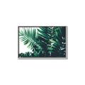 Picture of Fern Garden  _GroupedProduct_Rectangle_Landscape_Photography _GroupedProduct_Rectangle_Landscape_Canvas_Framed_