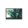Picture of Fern Garden  _GroupedProduct_Rectangle_Landscape_Photography _GroupedProduct_Rectangle_Landscape_Canvas_Framed_