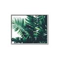 Picture of Fern Garden  _GroupedProduct_Rectangle_Landscape_Photography _GroupedProduct_Rectangle_Landscape_Canvas_Framed_