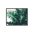 Picture of Fern Garden  _GroupedProduct_Rectangle_Landscape_Photography _GroupedProduct_Rectangle_Landscape_Canvas_Framed_