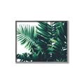 Picture of Fern Garden  _GroupedProduct_Rectangle_Landscape_Photography _GroupedProduct_Rectangle_Landscape_Canvas_Framed_
