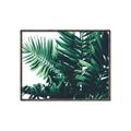 Picture of Fern Garden  _GroupedProduct_Rectangle_Landscape_Photography _GroupedProduct_Rectangle_Landscape_Canvas_Framed_