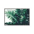 Picture of Fern Garden  _GroupedProduct_Rectangle_Landscape_Photography _GroupedProduct_Rectangle_Landscape_Canvas_Framed_