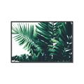 Picture of Fern Garden  _GroupedProduct_Rectangle_Landscape_Photography _GroupedProduct_Rectangle_Landscape_Canvas_Framed_
