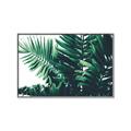 Picture of Fern Garden  _GroupedProduct_Rectangle_Landscape_Photography _GroupedProduct_Rectangle_Landscape_Canvas_Framed_