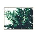 Picture of Fern Garden  _GroupedProduct_Rectangle_Landscape_Photography _GroupedProduct_Rectangle_Landscape_Canvas_Framed_