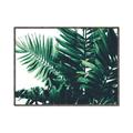 Picture of Fern Garden  _GroupedProduct_Rectangle_Landscape_Photography _GroupedProduct_Rectangle_Landscape_Canvas_Framed_