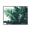 Picture of Fern Garden  _GroupedProduct_Rectangle_Landscape_Photography _GroupedProduct_Rectangle_Landscape_Canvas_Framed_