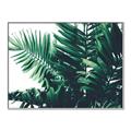 Picture of Fern Garden  _GroupedProduct_Rectangle_Landscape_Photography _GroupedProduct_Rectangle_Landscape_Canvas_Framed_