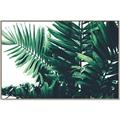Picture of Fern Garden  _GroupedProduct_Rectangle_Landscape_Photography _GroupedProduct_Rectangle_Landscape_Canvas_Framed_