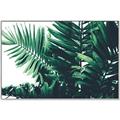 Picture of Fern Garden  _GroupedProduct_Rectangle_Landscape_Photography _GroupedProduct_Rectangle_Landscape_Canvas_Framed_