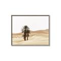 Picture of Sandy Desert  _GroupedProduct_Rectangle_Landscape_Photography _GroupedProduct_Rectangle_Landscape_Canvas_Framed_