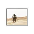 Picture of Sandy Desert  _GroupedProduct_Rectangle_Landscape_Photography _GroupedProduct_Rectangle_Landscape_Canvas_Framed_