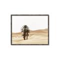 Picture of Sandy Desert  _GroupedProduct_Rectangle_Landscape_Photography _GroupedProduct_Rectangle_Landscape_Canvas_Framed_