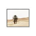 Picture of Sandy Desert  _GroupedProduct_Rectangle_Landscape_Photography _GroupedProduct_Rectangle_Landscape_Canvas_Framed_