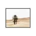 Picture of Sandy Desert  _GroupedProduct_Rectangle_Landscape_Photography _GroupedProduct_Rectangle_Landscape_Canvas_Framed_
