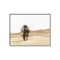 Picture of Sandy Desert  _GroupedProduct_Rectangle_Landscape_Photography _GroupedProduct_Rectangle_Landscape_Canvas_Framed_