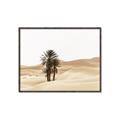Picture of Sandy Desert  _GroupedProduct_Rectangle_Landscape_Photography _GroupedProduct_Rectangle_Landscape_Canvas_Framed_