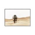Picture of Sandy Desert  _GroupedProduct_Rectangle_Landscape_Photography _GroupedProduct_Rectangle_Landscape_Canvas_Framed_