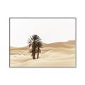 Picture of Sandy Desert  _GroupedProduct_Rectangle_Landscape_Photography _GroupedProduct_Rectangle_Landscape_Canvas_Framed_