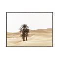Picture of Sandy Desert  _GroupedProduct_Rectangle_Landscape_Photography _GroupedProduct_Rectangle_Landscape_Canvas_Framed_