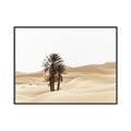 Picture of Sandy Desert  _GroupedProduct_Rectangle_Landscape_Photography _GroupedProduct_Rectangle_Landscape_Canvas_Framed_