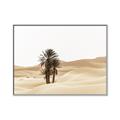 Picture of Sandy Desert  _GroupedProduct_Rectangle_Landscape_Photography _GroupedProduct_Rectangle_Landscape_Canvas_Framed_
