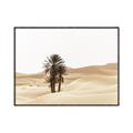 Picture of Sandy Desert  _GroupedProduct_Rectangle_Landscape_Photography _GroupedProduct_Rectangle_Landscape_Canvas_Framed_