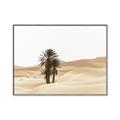 Picture of Sandy Desert  _GroupedProduct_Rectangle_Landscape_Photography _GroupedProduct_Rectangle_Landscape_Canvas_Framed_