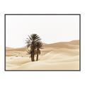 Picture of Sandy Desert  _GroupedProduct_Rectangle_Landscape_Photography _GroupedProduct_Rectangle_Landscape_Canvas_Framed_