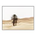 Picture of Sandy Desert  _GroupedProduct_Rectangle_Landscape_Photography _GroupedProduct_Rectangle_Landscape_Canvas_Framed_