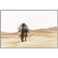 Picture of Sandy Desert  _GroupedProduct_Rectangle_Landscape_Photography _GroupedProduct_Rectangle_Landscape_Canvas_Framed_