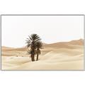 Picture of Sandy Desert  _GroupedProduct_Rectangle_Landscape_Photography _GroupedProduct_Rectangle_Landscape_Canvas_Framed_