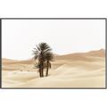 Picture of Sandy Desert  _GroupedProduct_Rectangle_Landscape_Photography _GroupedProduct_Rectangle_Landscape_Canvas_Framed_