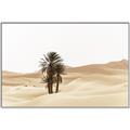 Picture of Sandy Desert  _GroupedProduct_Rectangle_Landscape_Photography _GroupedProduct_Rectangle_Landscape_Canvas_Framed_
