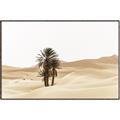 Picture of Sandy Desert  _GroupedProduct_Rectangle_Landscape_Photography _GroupedProduct_Rectangle_Landscape_Canvas_Framed_