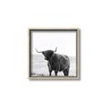 Picture of Scottish Fields Highland B&W _GroupedProduct_Square_Photography _GroupedProduct_Square_Canvas_Framed_