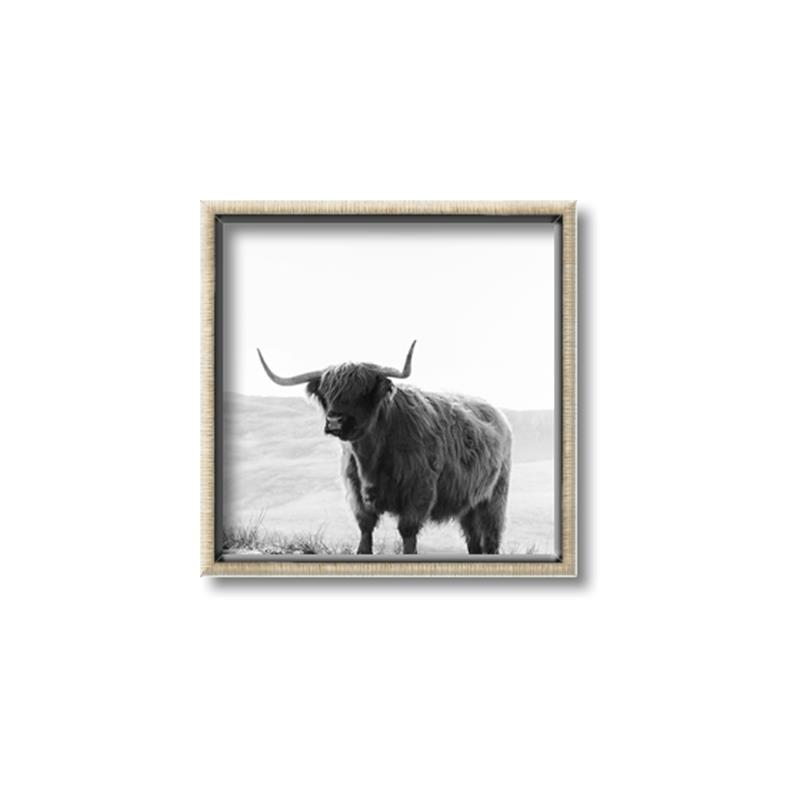 Picture of Scottish Fields Highland B&W _GroupedProduct_Square_Photography _GroupedProduct_Square_Canvas_Framed_
