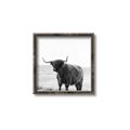 Picture of Scottish Fields Highland B&W _GroupedProduct_Square_Photography _GroupedProduct_Square_Canvas_Framed_