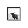 Picture of Scottish Fields Highland B&W _GroupedProduct_Square_Photography _GroupedProduct_Square_Canvas_Framed_