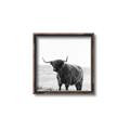 Picture of Scottish Fields Highland B&W _GroupedProduct_Square_Photography _GroupedProduct_Square_Canvas_Framed_