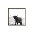 Picture of Scottish Fields Highland B&W _GroupedProduct_Square_Photography _GroupedProduct_Square_Canvas_Framed_