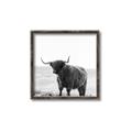 Picture of Scottish Fields Highland B&W _GroupedProduct_Square_Photography _GroupedProduct_Square_Canvas_Framed_