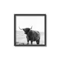 Picture of Scottish Fields Highland B&W _GroupedProduct_Square_Photography _GroupedProduct_Square_Canvas_Framed_
