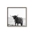 Picture of Scottish Fields Highland B&W _GroupedProduct_Square_Photography _GroupedProduct_Square_Canvas_Framed_