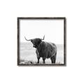 Picture of Scottish Fields Highland B&W _GroupedProduct_Square_Photography _GroupedProduct_Square_Canvas_Framed_